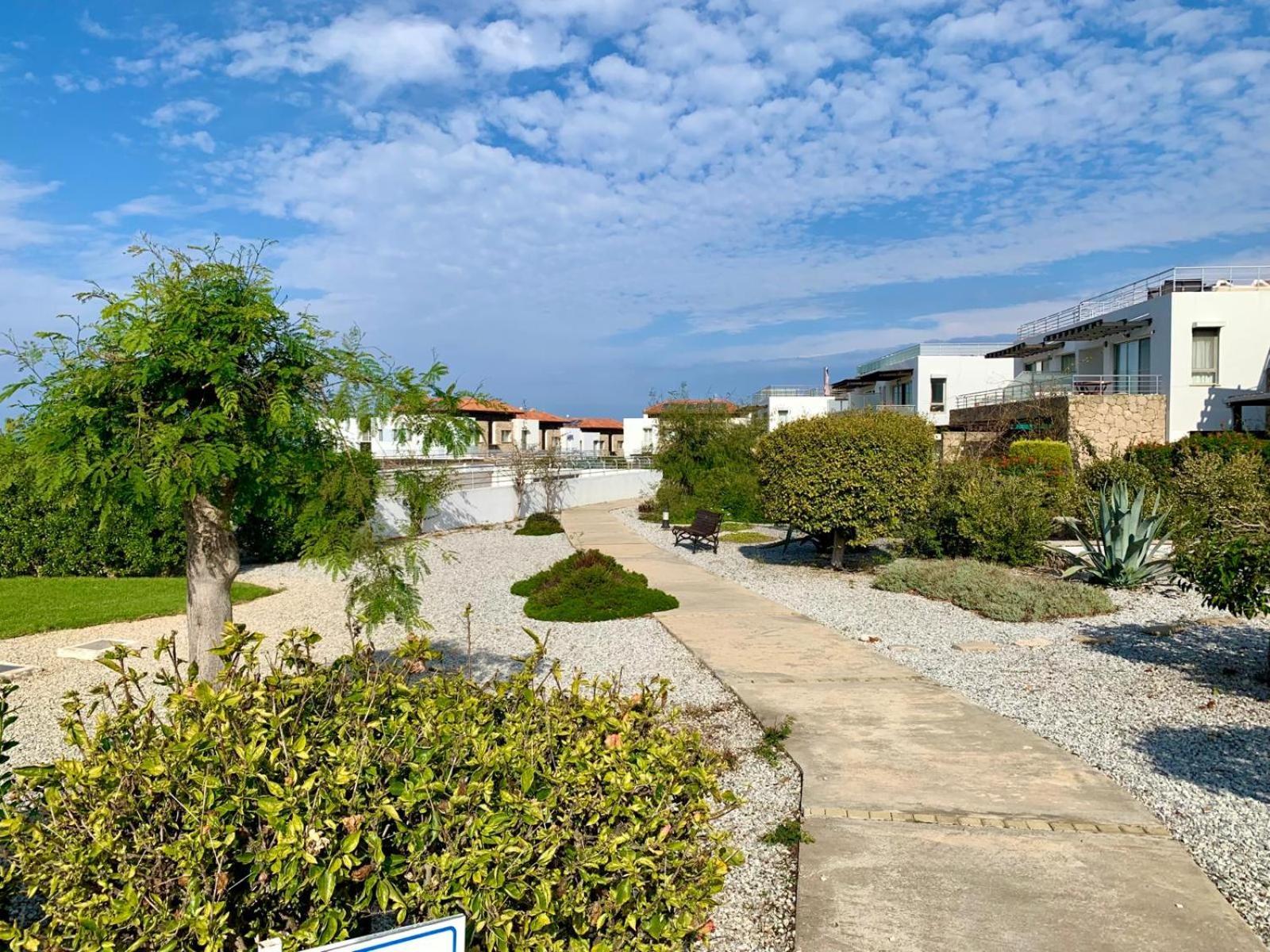 Boho Bay Apartment Akanthou Eksteriør billede