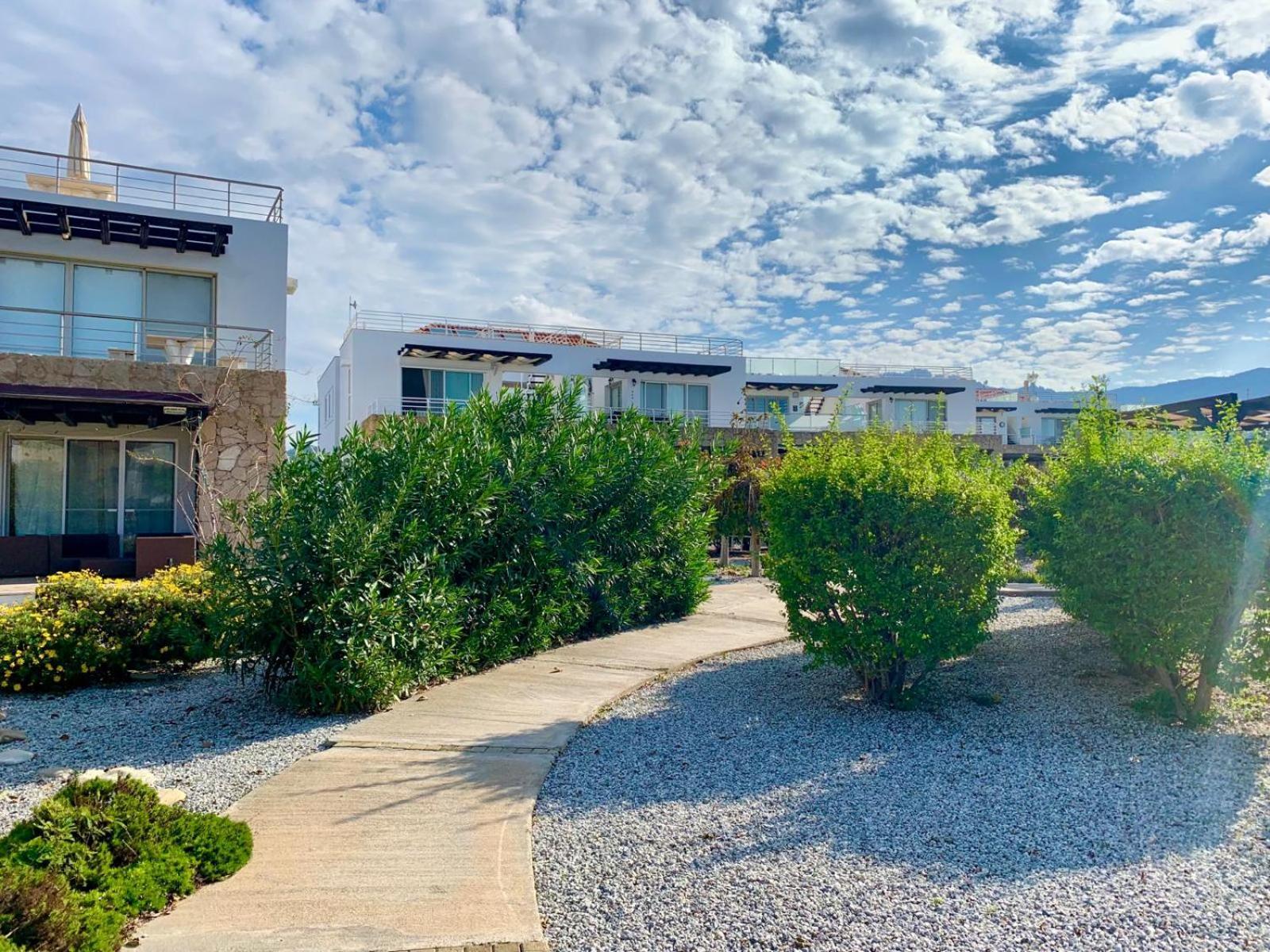 Boho Bay Apartment Akanthou Eksteriør billede
