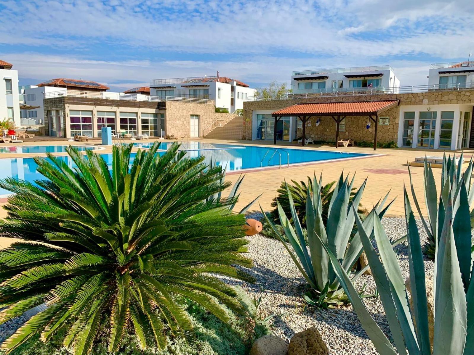 Boho Bay Apartment Akanthou Eksteriør billede