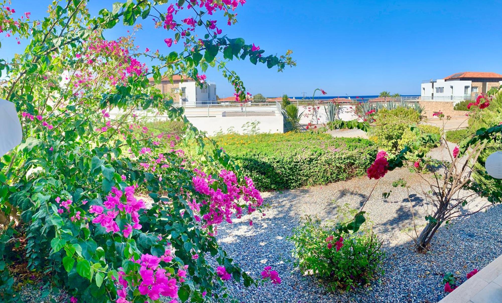 Boho Bay Apartment Akanthou Eksteriør billede