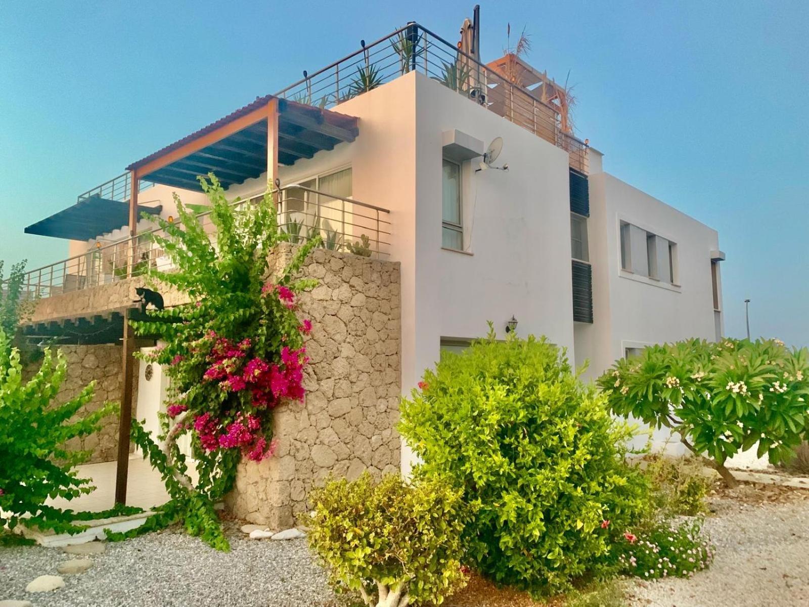 Boho Bay Apartment Akanthou Eksteriør billede